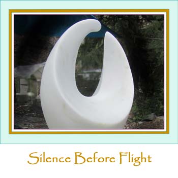 Silence Before Flight