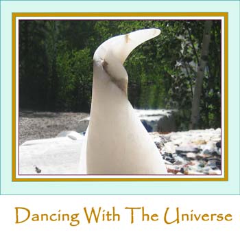 Dance with the Universe